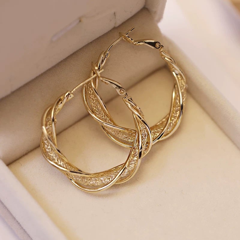💕-S925 Modne kolczyki Twist