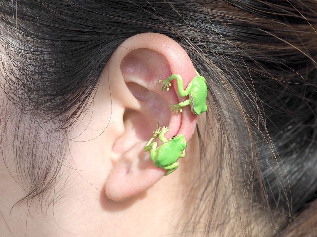 Tree Frog Ring & Earrings