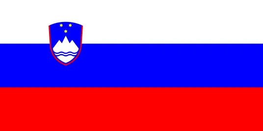 Zračni prevoz v Slovenijo