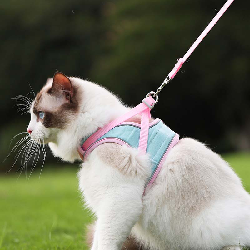 🐱Odblaskowa uprząż i smycz dla kota zapobiegające ucieczce✨