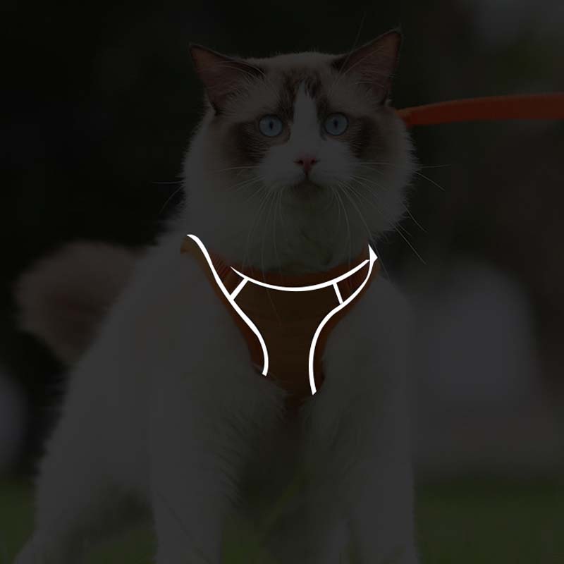 🐱Odblaskowa uprząż i smycz dla kota zapobiegające ucieczce✨