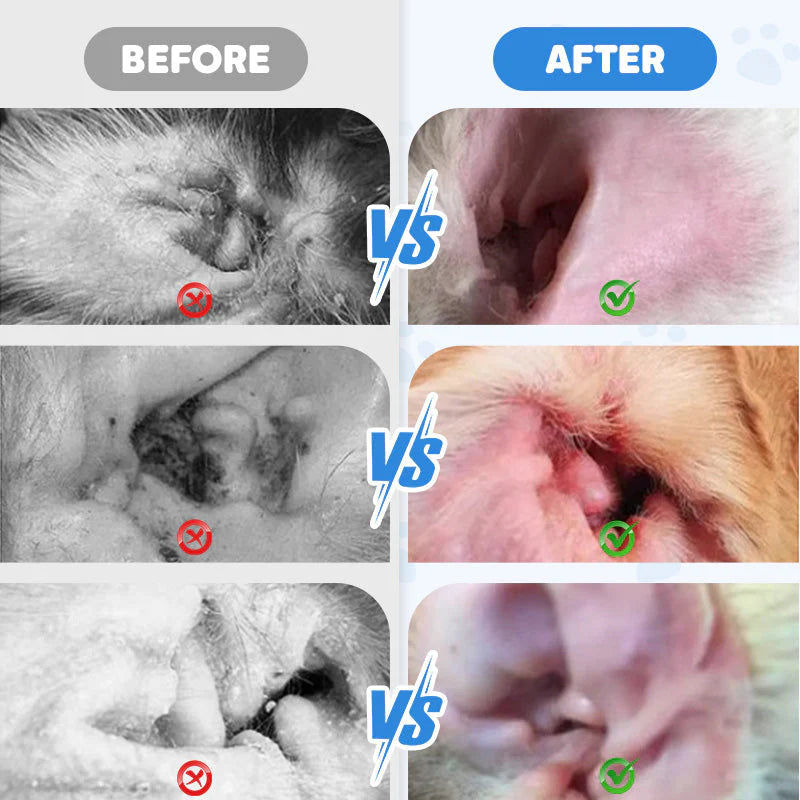 🐱🐶Čistilo za živalska ušesa - Zmanjšuje rast bakterij