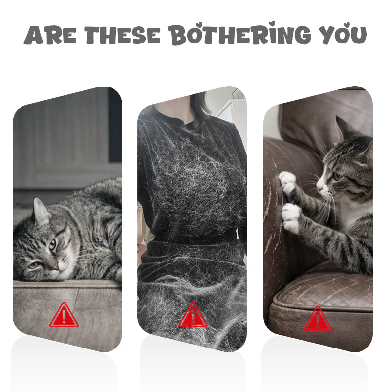 🐈Avtomatska, zložljiva igračka za mačke💡