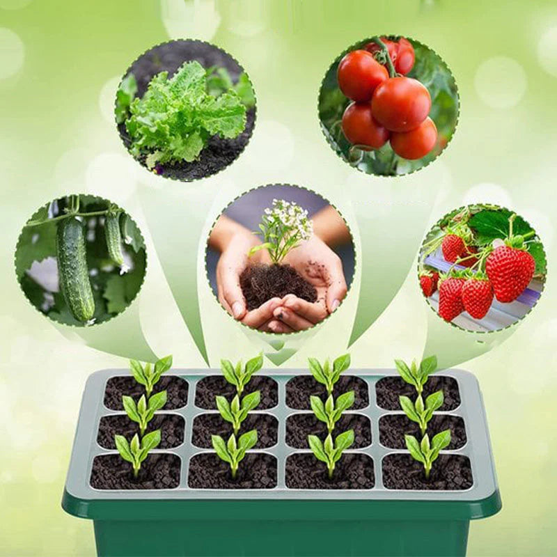 🌱 Pladenj za sadike z vgrajeno rastno lučko