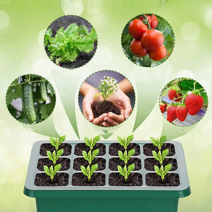 🌱 Pladenj za sadike z vgrajeno rastno lučko