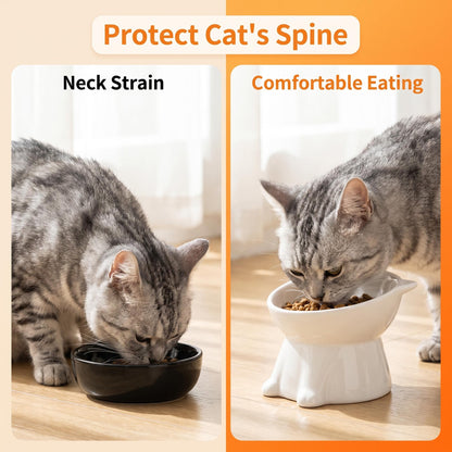 🥣Ergonomična, dvignjena plastična posoda za mačke🐱