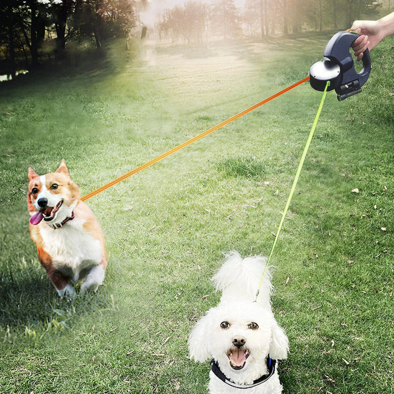 🐶Podwójna funkcja wielofunkcyjnego chodzika dla psów