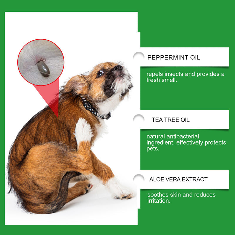 🍃Naravni sprej proti bolham in klopom za pse in mačke🐾 Poskrbite, da bo vaš ljubljenček brez škodljivcev