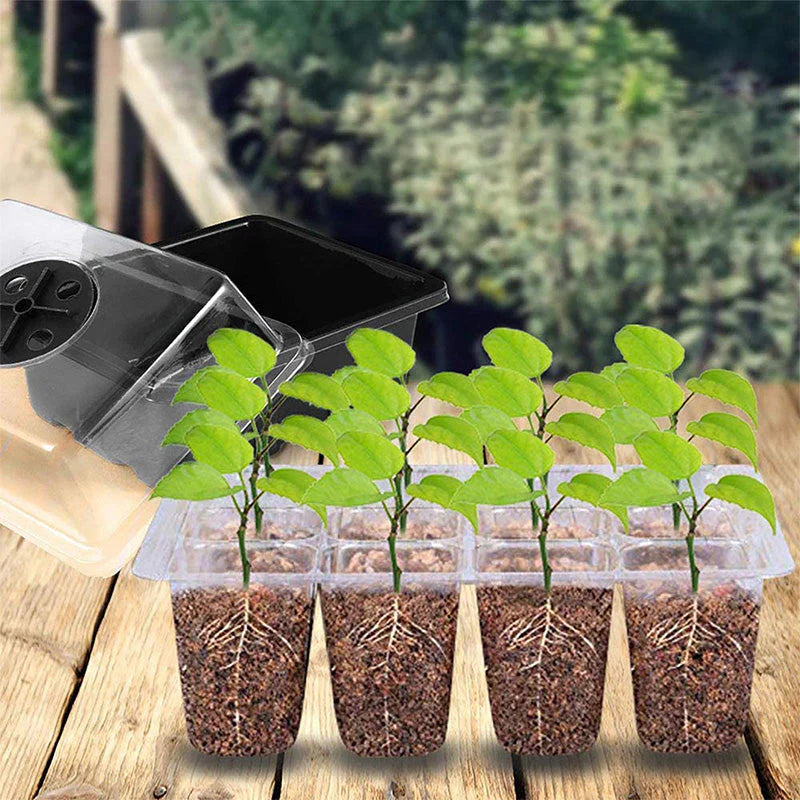 🌱 Pladenj za sadike z vgrajeno rastno lučko