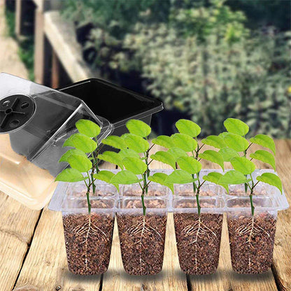 🌱 Pladenj za sadike z vgrajeno rastno lučko