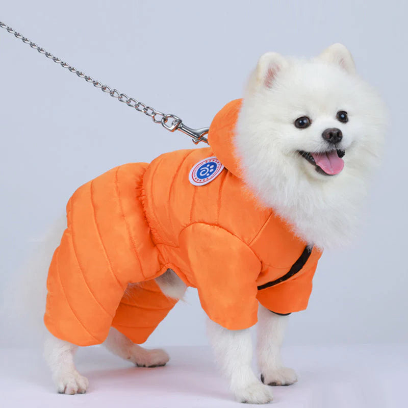 Ciepłe, wiatroszczelne zimowe ubranka dla psów🐕