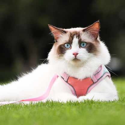 🐱Odblaskowa uprząż i smycz dla kota zapobiegające ucieczce✨